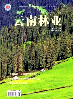 云南林业
